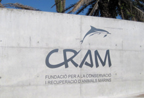 Letras corpóreas cram